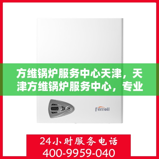 方维锅炉服务中心天津，天津方维锅炉服务中心，专业维护，安心之选