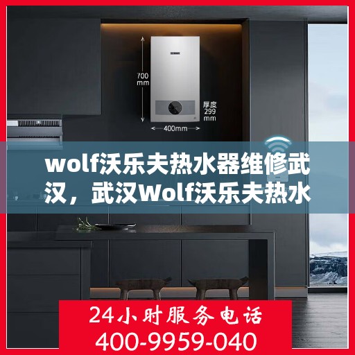 wolf沃乐夫热水器维修武汉，武汉Wolf沃乐夫热水器专业维修服务
