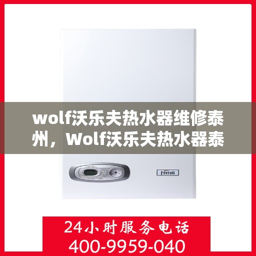 wolf沃乐夫热水器维修泰州，Wolf沃乐夫热水器泰州专业维修服务