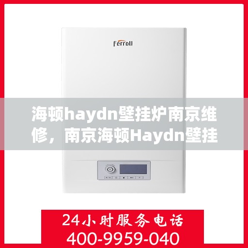 海顿haydn壁挂炉南京维修，南京海顿Haydn壁挂炉专业维修服务
