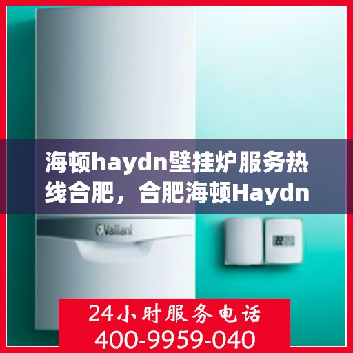 海顿haydn壁挂炉服务热线合肥，合肥海顿Haydn壁挂炉服务热线专业支持团队，为您解决采暖问题