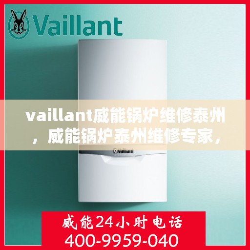 vaillant威能锅炉维修泰州，威能锅炉泰州维修专家，专业解决您的锅炉故障