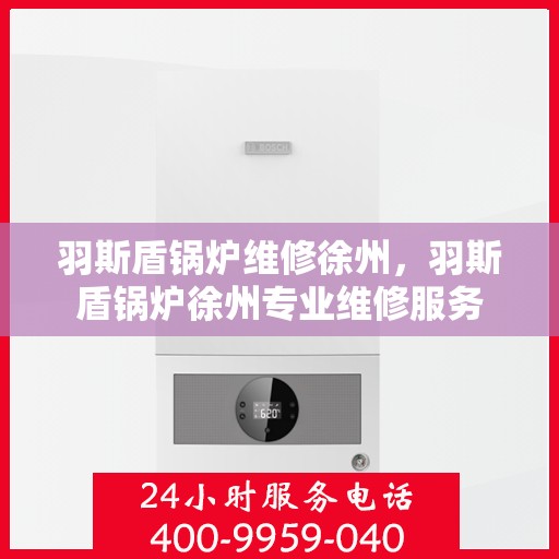 羽斯盾锅炉维修徐州，羽斯盾锅炉徐州专业维修服务