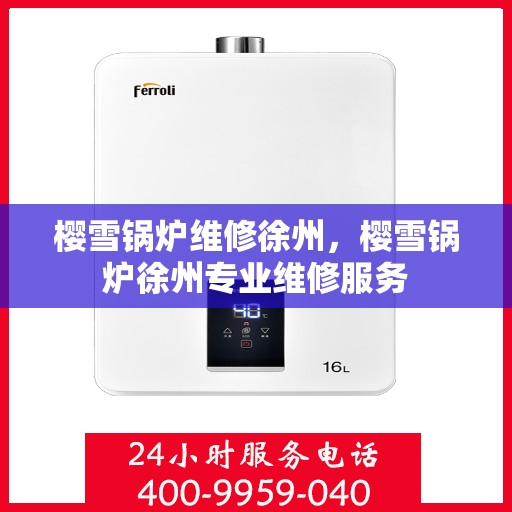 樱雪锅炉维修徐州，樱雪锅炉徐州专业维修服务