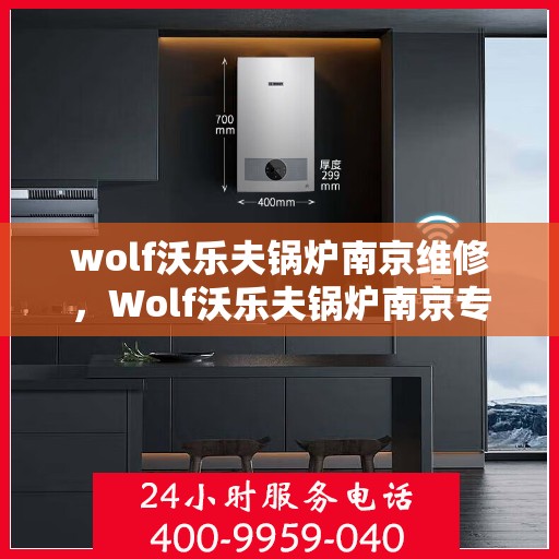 wolf沃乐夫锅炉南京维修，Wolf沃乐夫锅炉南京专业维修服务