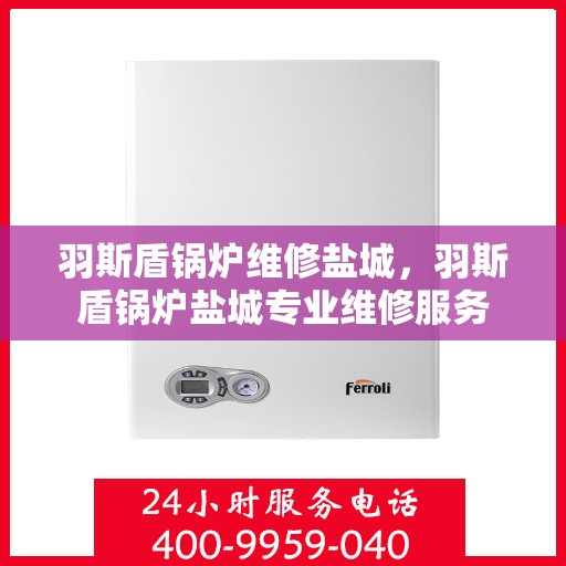 羽斯盾锅炉维修盐城，羽斯盾锅炉盐城专业维修服务