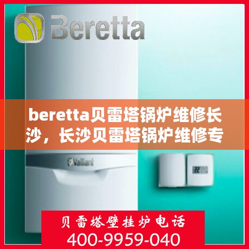 beretta贝雷塔锅炉维修长沙，长沙贝雷塔锅炉维修专家解析与解决方案