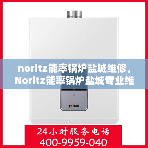 noritz能率锅炉盐城维修，Noritz能率锅炉盐城专业维修服务