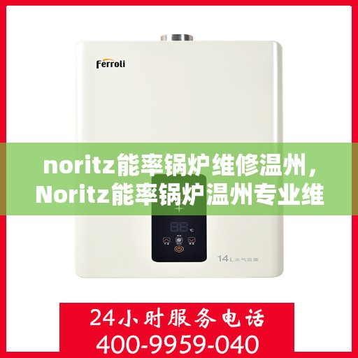 noritz能率锅炉维修温州，Noritz能率锅炉温州专业维修服务