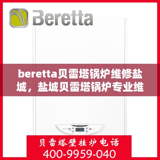 beretta贝雷塔锅炉维修盐城，盐城贝雷塔锅炉专业维修服务团队