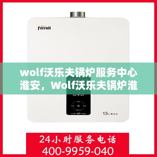 wolf沃乐夫锅炉服务中心淮安，Wolf沃乐夫锅炉淮安服务中心，专业维修与保养的首选之地