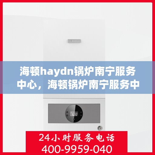海顿haydn锅炉南宁服务中心，海顿锅炉南宁服务中心，专业维修与保养一站式解决方案