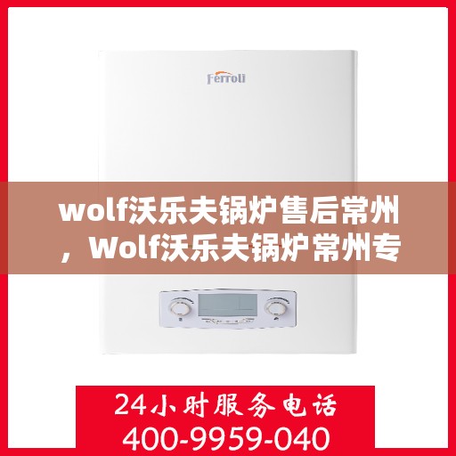 wolf沃乐夫锅炉售后常州，Wolf沃乐夫锅炉常州专业售后服务指南