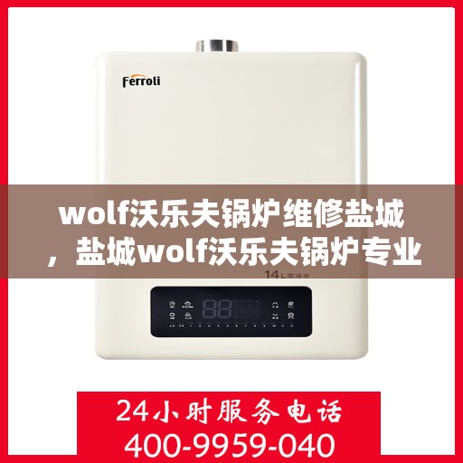 wolf沃乐夫锅炉维修盐城，盐城wolf沃乐夫锅炉专业维修服务