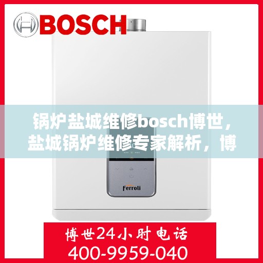 锅炉盐城维修bosch博世，盐城锅炉维修专家解析，博世锅炉维护与保养全攻略