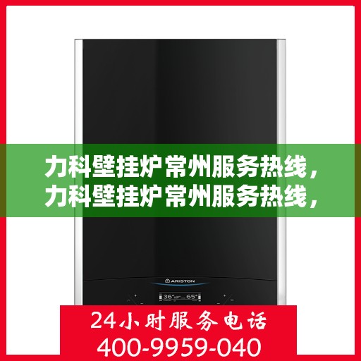 力科壁挂炉常州服务热线，力科壁挂炉常州服务热线，专业团队，温暖您的生活