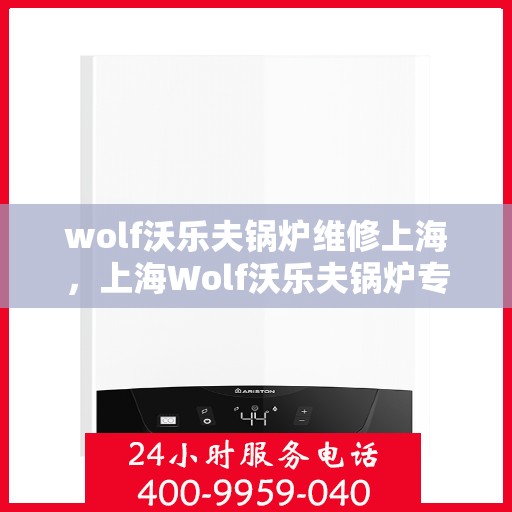 wolf沃乐夫锅炉维修上海，上海Wolf沃乐夫锅炉专业维修服务