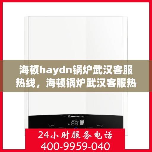 海顿haydn锅炉武汉客服热线，海顿锅炉武汉客服热线，专业支持与解决方案的桥梁