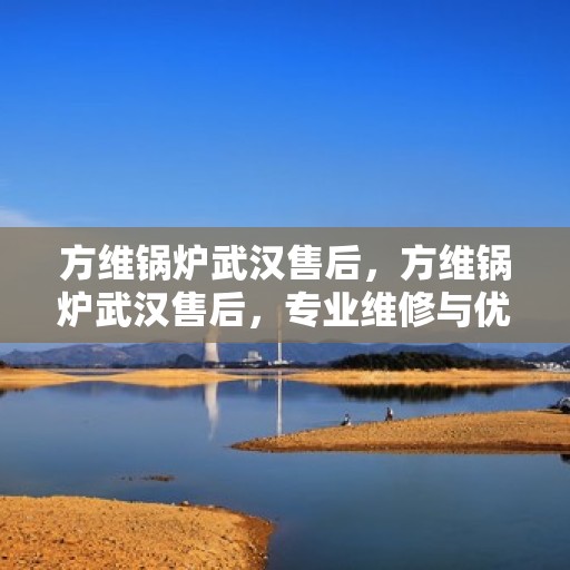 方维锅炉武汉售后，方维锅炉武汉售后，专业维修与优质服务