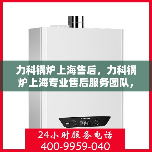 力科锅炉上海售后，力科锅炉上海专业售后服务团队，全方位技术支持，贴心服务保障