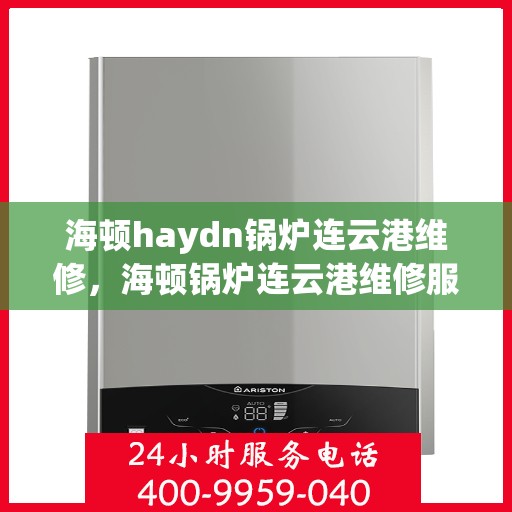 海顿haydn锅炉连云港维修，海顿锅炉连云港维修服务解析