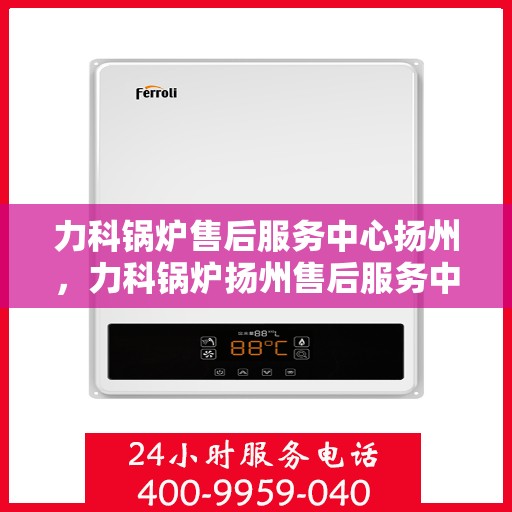 力科锅炉售后服务中心扬州，力科锅炉扬州售后服务中心，专业维修，贴心服务