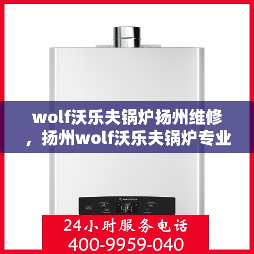 wolf沃乐夫锅炉扬州维修，扬州wolf沃乐夫锅炉专业维修服务