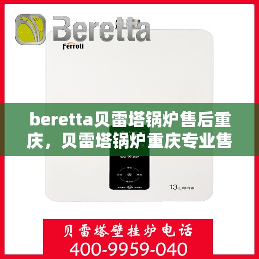 beretta贝雷塔锅炉售后重庆，贝雷塔锅炉重庆专业售后服务团队支持