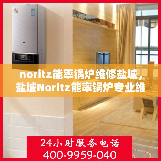 noritz能率锅炉维修盐城，盐城Noritz能率锅炉专业维修服务