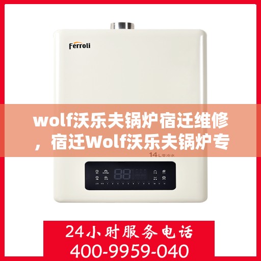 wolf沃乐夫锅炉宿迁维修，宿迁Wolf沃乐夫锅炉专业维修服务