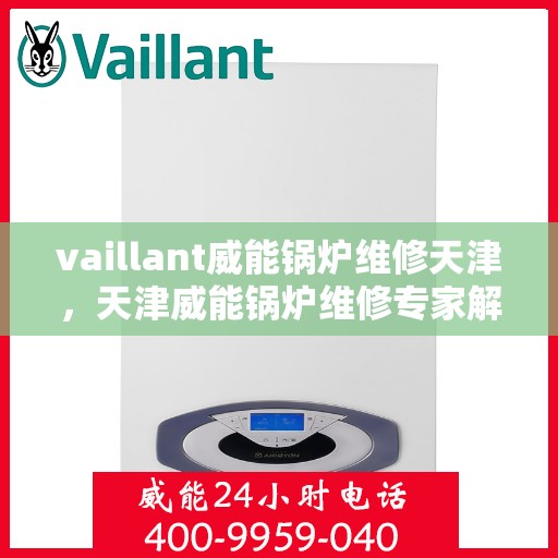 vaillant威能锅炉维修天津，天津威能锅炉维修专家解析与解决方案