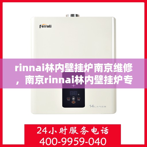rinnai林内壁挂炉南京维修，南京rinnai林内壁挂炉专业维修服务