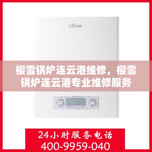 樱雪锅炉连云港维修，樱雪锅炉连云港专业维修服务