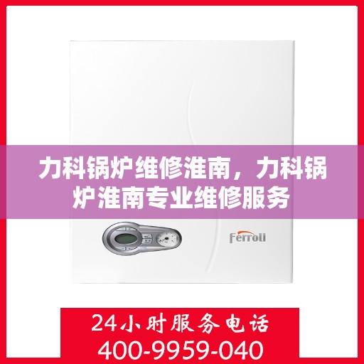 力科锅炉维修淮南，力科锅炉淮南专业维修服务