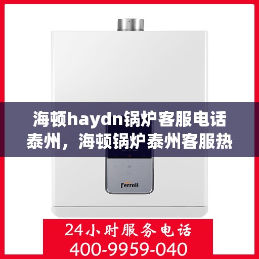 海顿haydn锅炉客服电话泰州，海顿锅炉泰州客服热线及咨询指南
