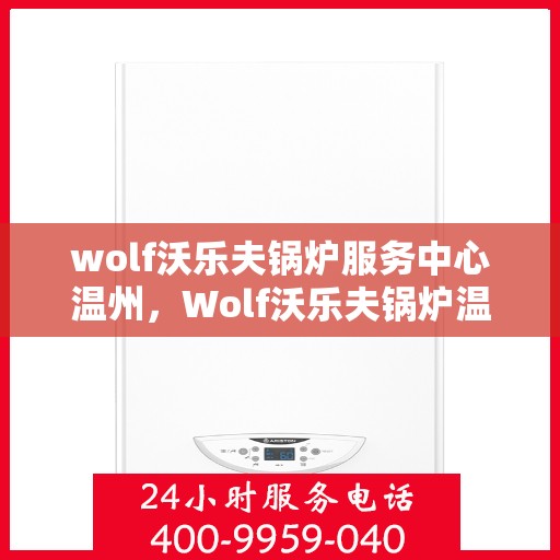 wolf沃乐夫锅炉服务中心温州，Wolf沃乐夫锅炉温州服务中心，专业维修与优质服务的行业标杆
