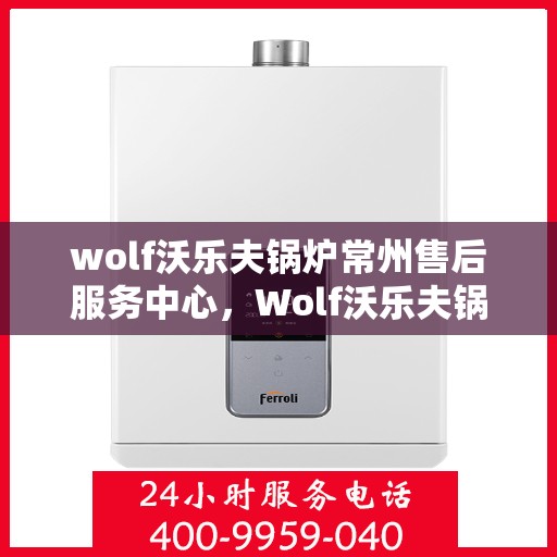 wolf沃乐夫锅炉常州售后服务中心，Wolf沃乐夫锅炉常州专业售后服务中心