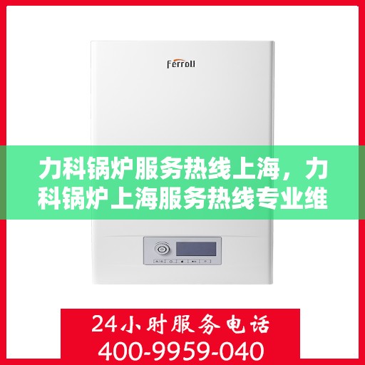 力科锅炉服务热线上海，力科锅炉上海服务热线专业维修与技术支持