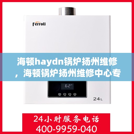 海顿haydn锅炉扬州维修，海顿锅炉扬州维修中心专业服务解析