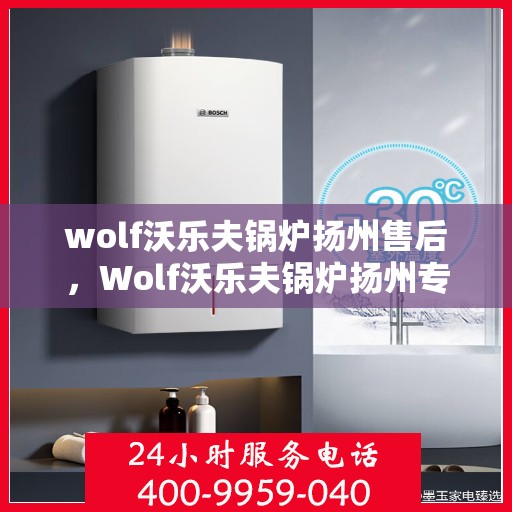 wolf沃乐夫锅炉扬州售后，Wolf沃乐夫锅炉扬州专业售后服务指南