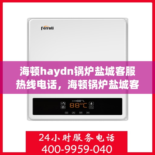 海顿haydn锅炉盐城客服热线电话，海顿锅炉盐城客服热线电话，专业支持与解决方案一站式服务