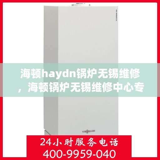 海顿haydn锅炉无锡维修，海顿锅炉无锡维修中心专业服务解析