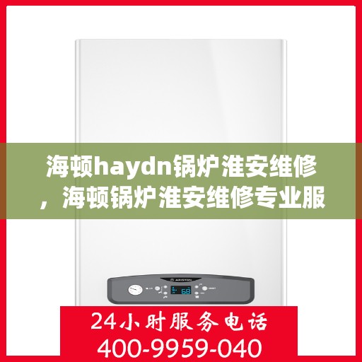 海顿haydn锅炉淮安维修，海顿锅炉淮安维修专业服务解析