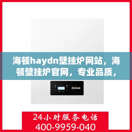 海顿haydn壁挂炉网站，海顿壁挂炉官网，专业品质，温暖千万家庭