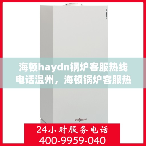 海顿haydn锅炉客服热线电话温州，海顿锅炉客服热线在温州，专业支持与解决方案的热线电话