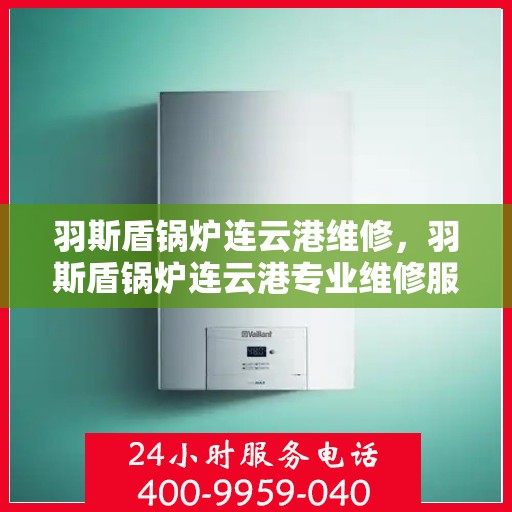 羽斯盾锅炉连云港维修，羽斯盾锅炉连云港专业维修服务