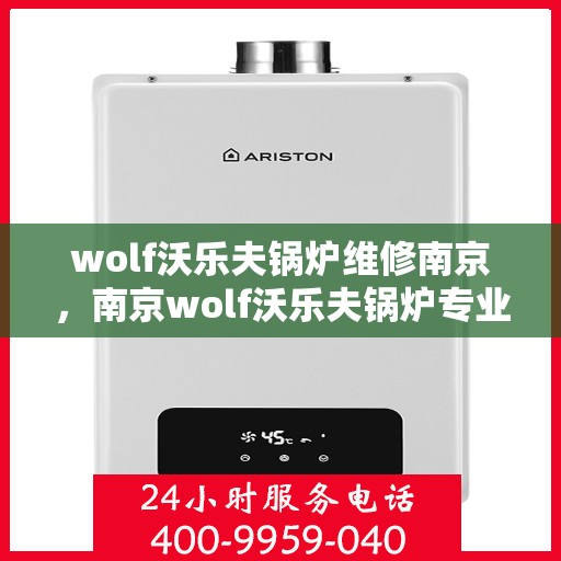 wolf沃乐夫锅炉维修南京，南京wolf沃乐夫锅炉专业维修服务