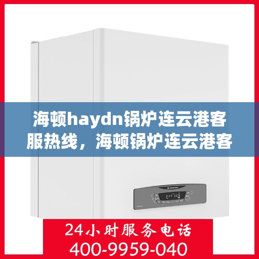 海顿haydn锅炉连云港客服热线，海顿锅炉连云港客服热线，专业支持与解决方案一站式服务