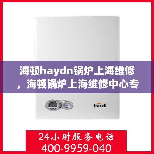 海顿haydn锅炉上海维修，海顿锅炉上海维修中心专业服务解析
