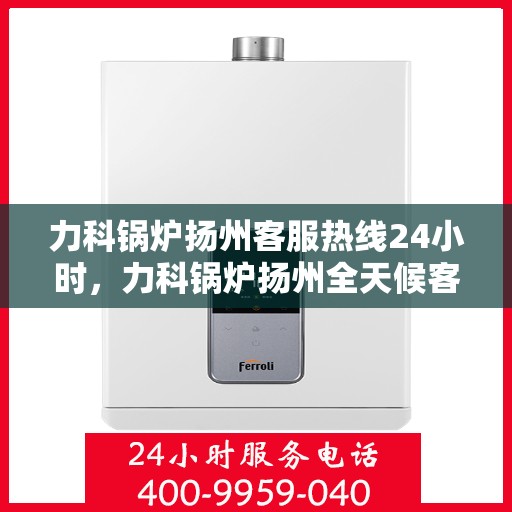 力科锅炉扬州客服热线24小时，力科锅炉扬州全天候客服热线，贴心服务，随时响应